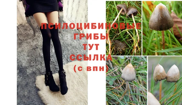 гашик Володарск