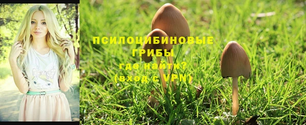 кокаин премиум Верея